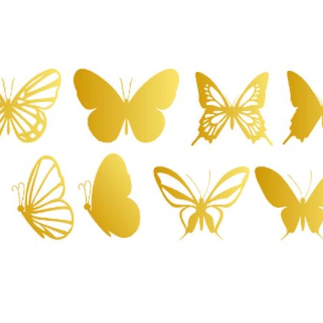 Aquivo de Corte Borboletas 1