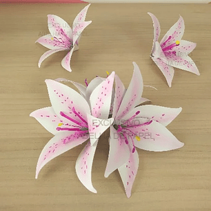 Arquivo de Corte Flores Lirio 