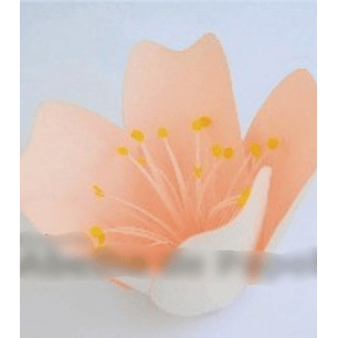 Arquivo de Corte Flor de Cerejeira