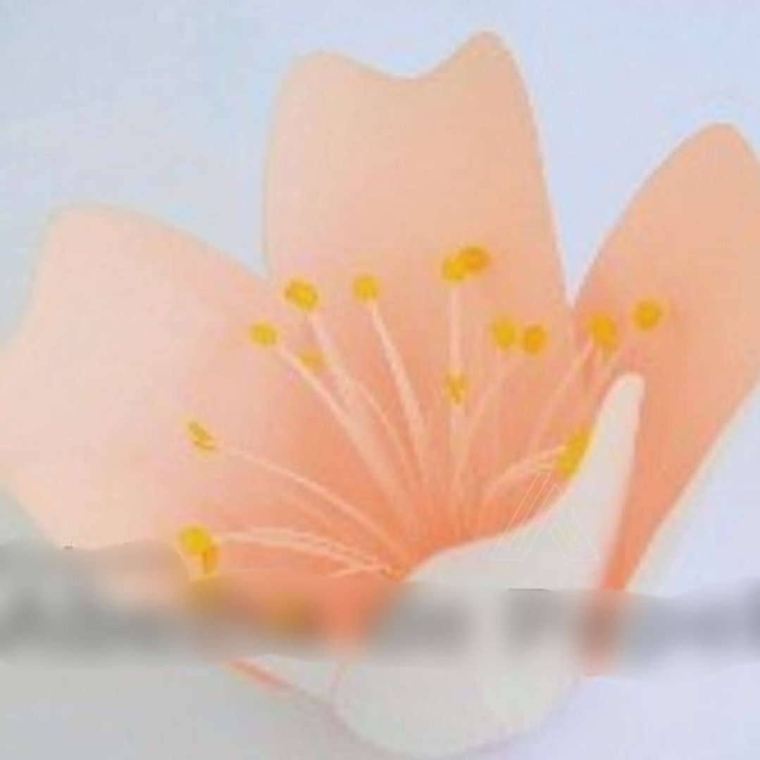 Arquivo de Corte Flor de Cerejeira 1