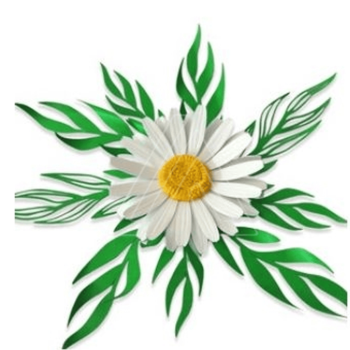 Arquivo de Corte Flor Margarida  1