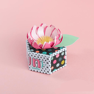 Arquivo de Corte Caixa Colmeia 