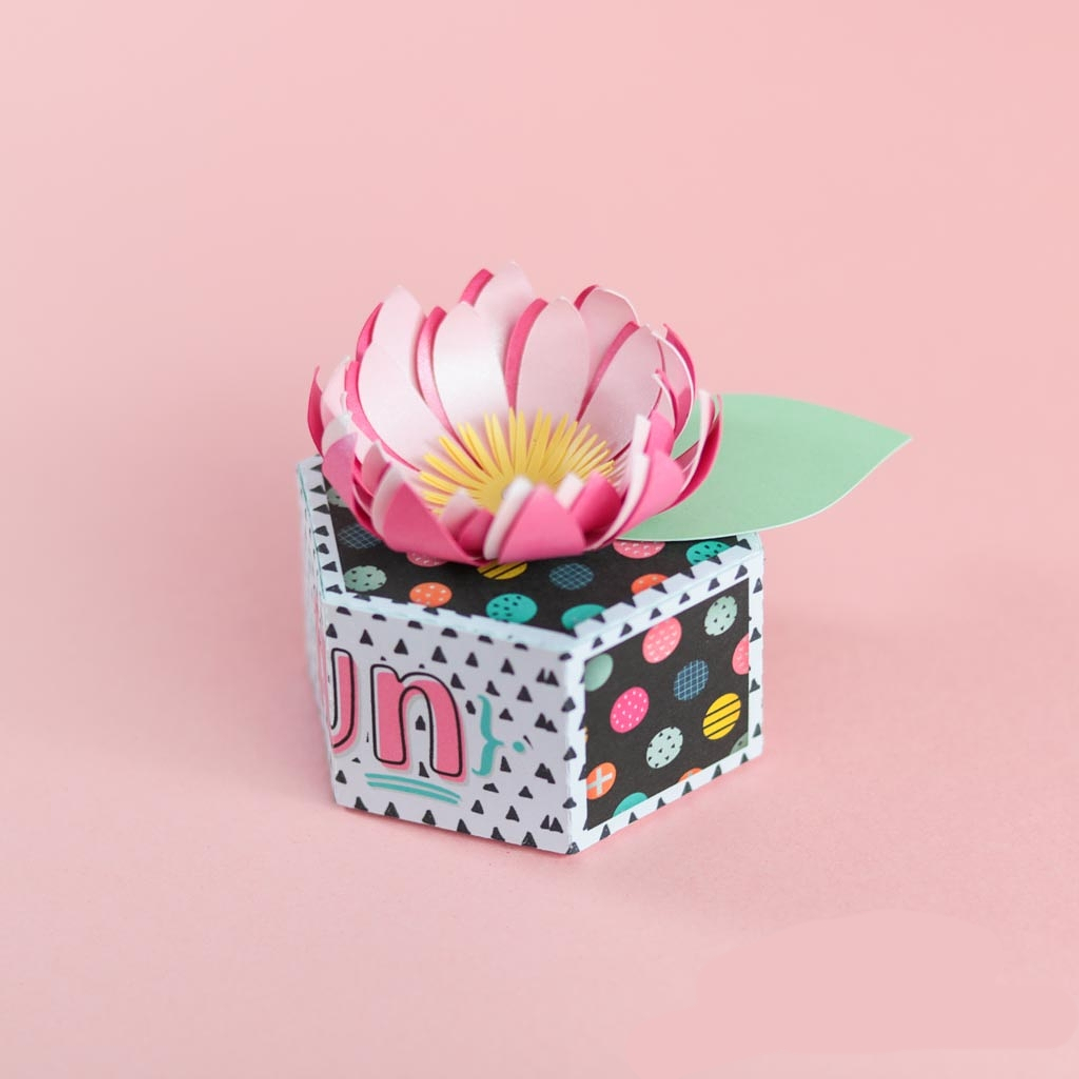 Arquivo de Corte Caixa Colmeia  1