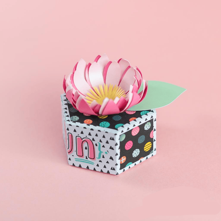 Arquivo de Corte Caixa Colmeia  1