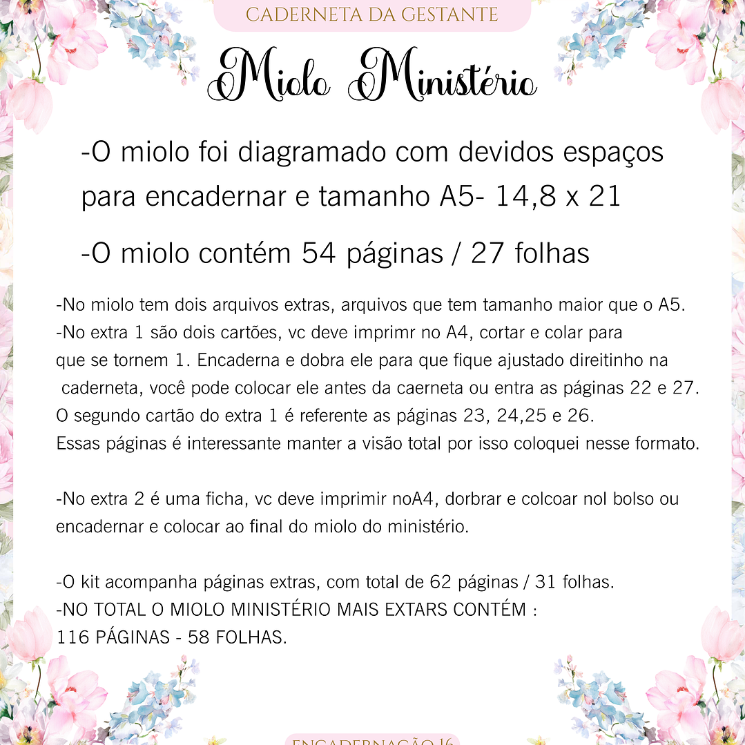 Arquivo Caderneta de Gestante  2