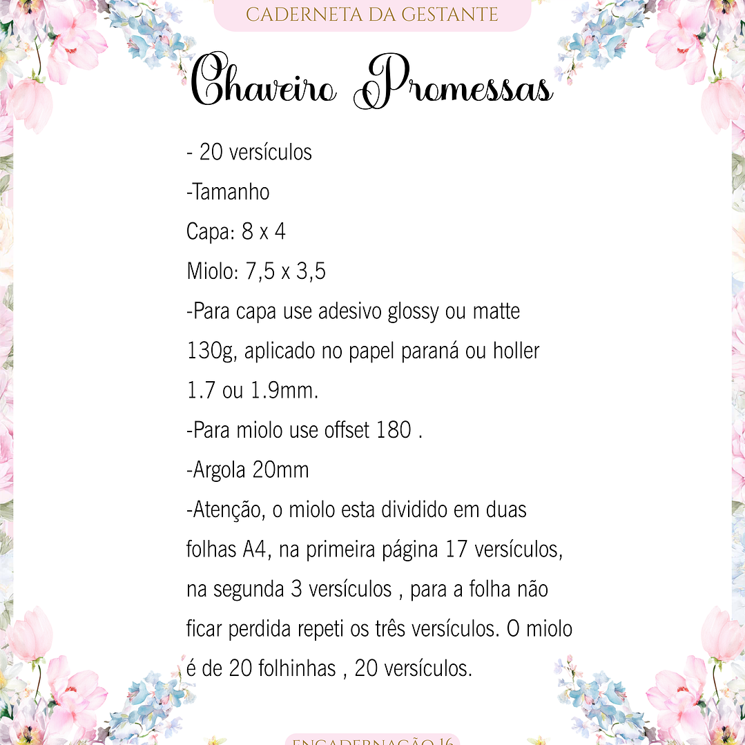 Arquivo Caderneta de Gestante  4