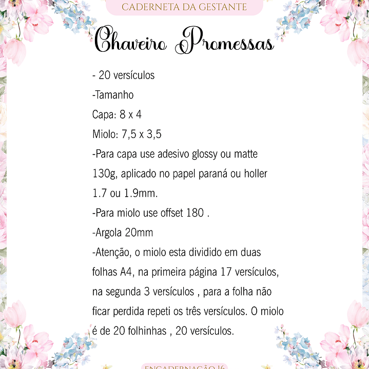 Arquivo Caderneta de Gestante  4