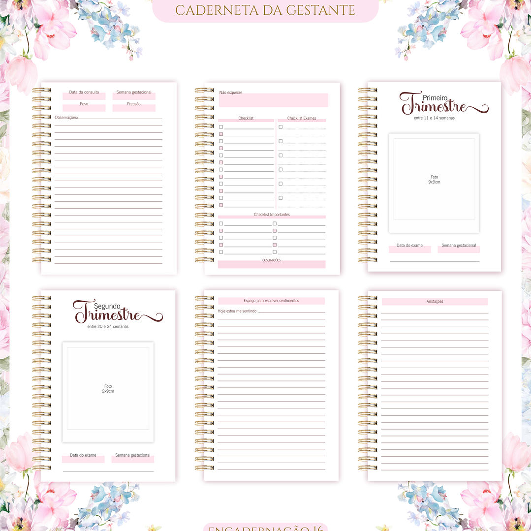 Arquivo Caderneta de Gestante  6