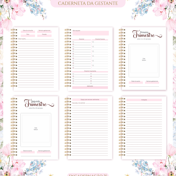 Arquivo Caderneta de Gestante  6