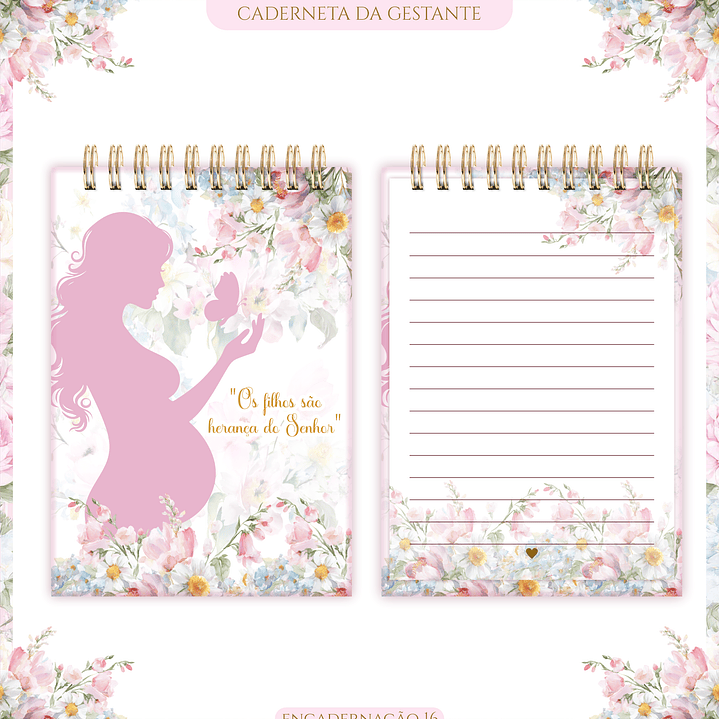 Arquivo Caderneta de Gestante  10