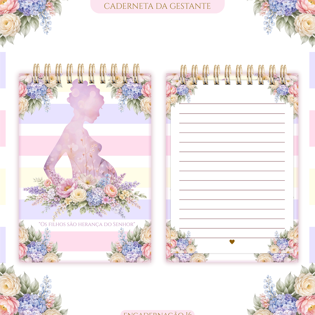 Arquivo Caderneta de Gestante  14