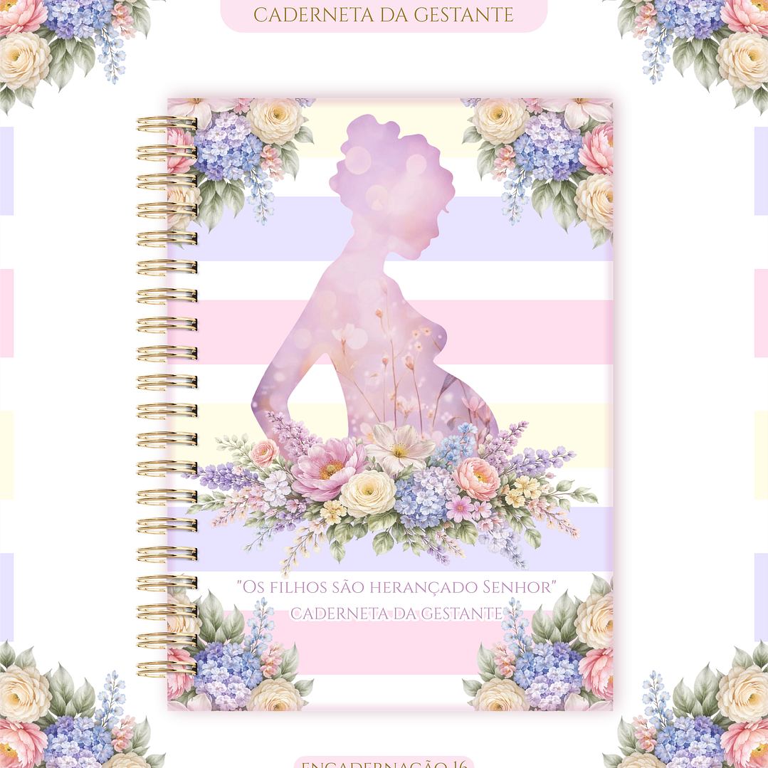 Arquivo Caderneta de Gestante  17