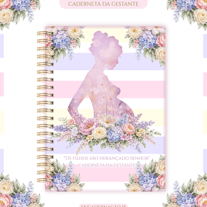 Arquivo Caderneta de Gestante  17