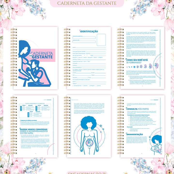 Arquivo Caderneta de Gestante  18