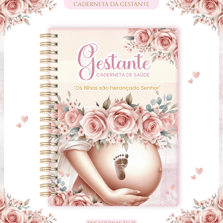 Arquivo Caderneta de Gestante  19