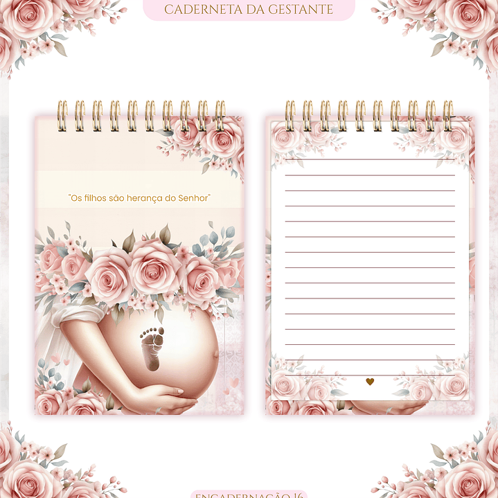 Arquivo Caderneta de Gestante  20