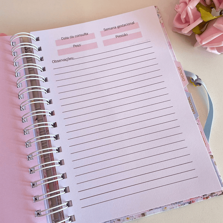 Arquivo Caderneta de Gestante  21