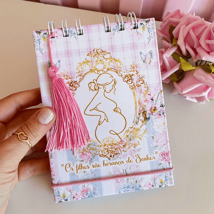 Arquivo Caderneta de Gestante  22