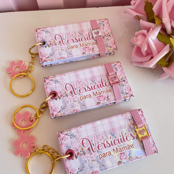 Arquivo Caderneta de Gestante  23