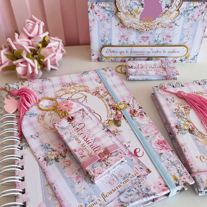 Arquivo Caderneta de Gestante  26