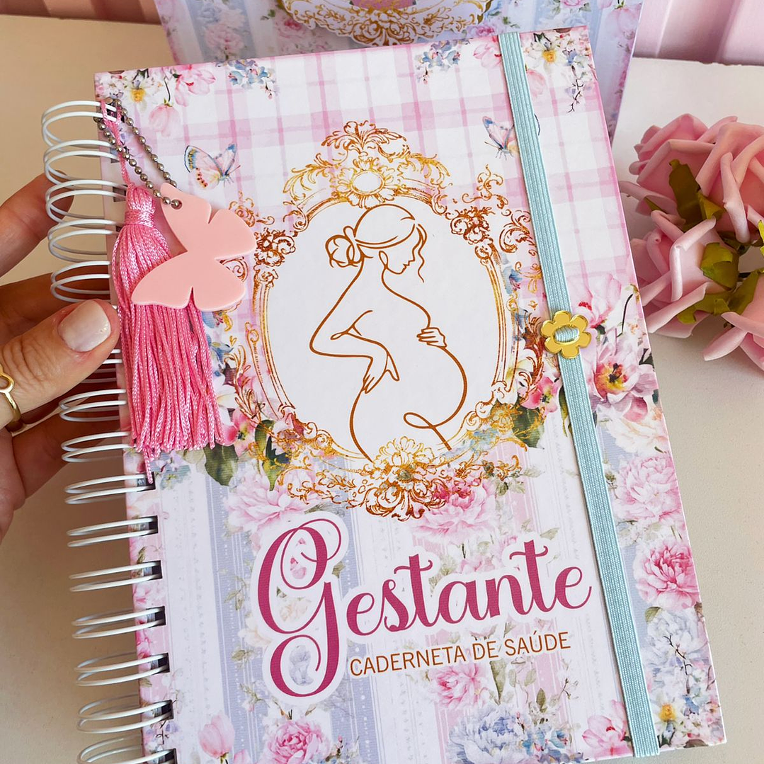 Arquivo Caderneta de Gestante  27