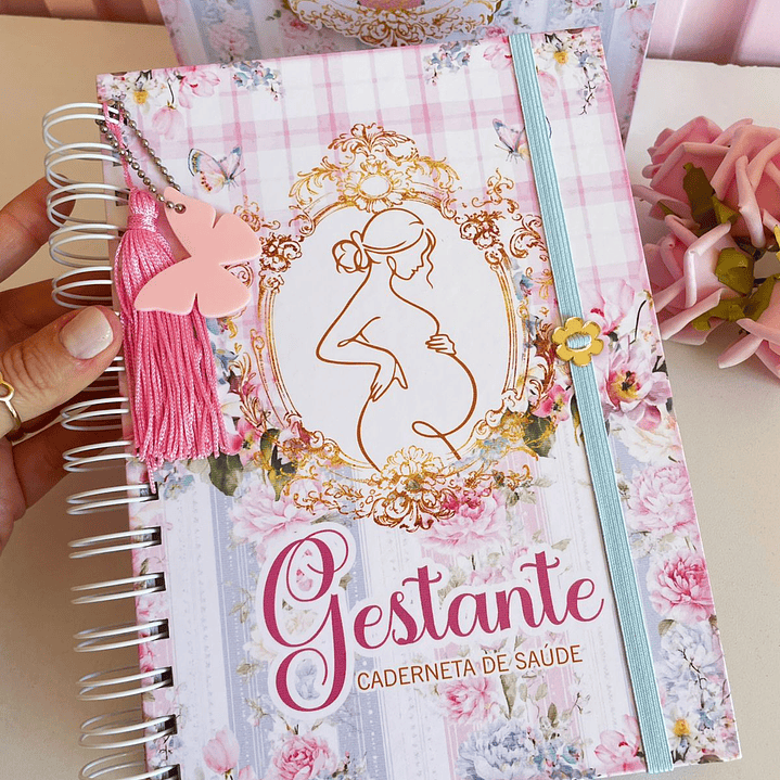 Arquivo Caderneta de Gestante  27