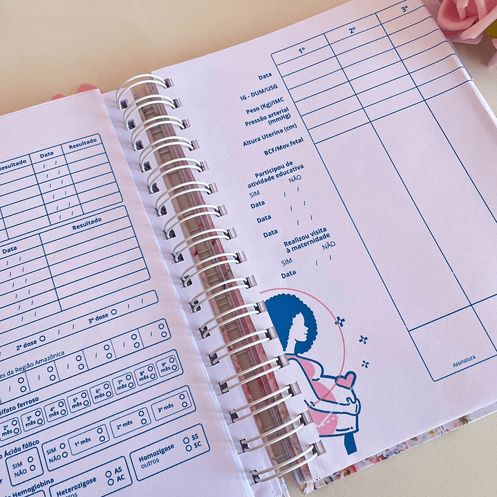 Arquivo Caderneta de Gestante  28