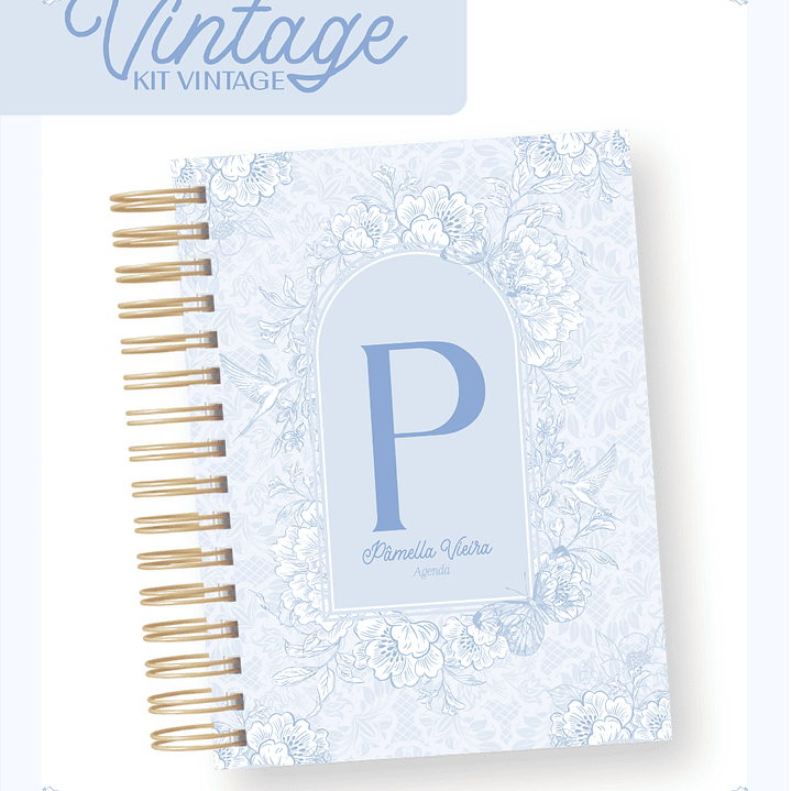 Arquivo Capas Vintage Rosa e Azul 2