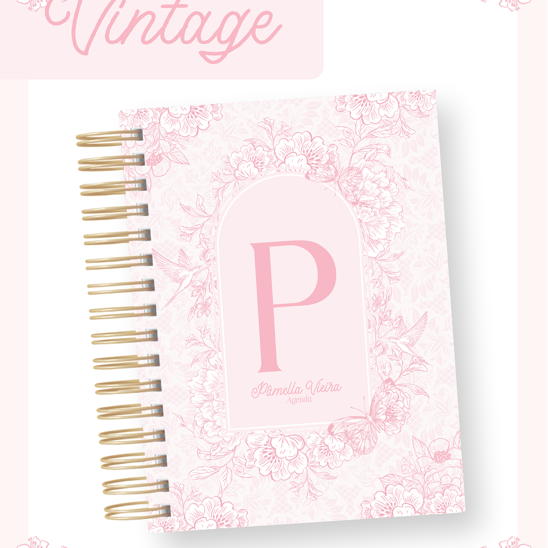 Arquivo Capas Vintage Rosa e Azul 5