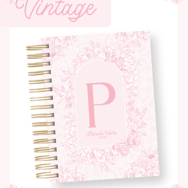 Arquivo Capas Vintage Rosa e Azul 5