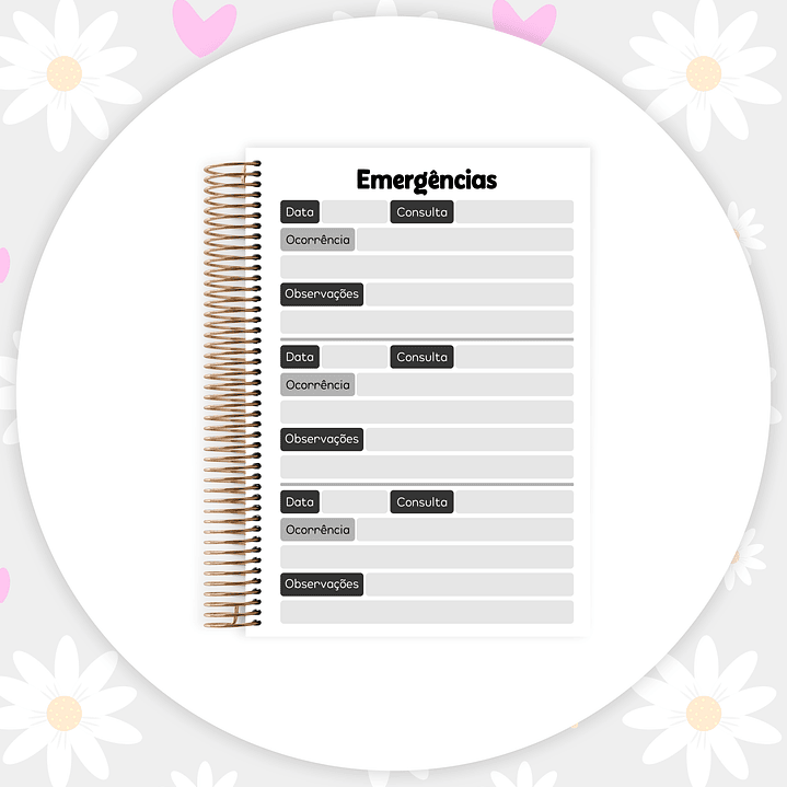 Arquivo Caderneta Pet  5