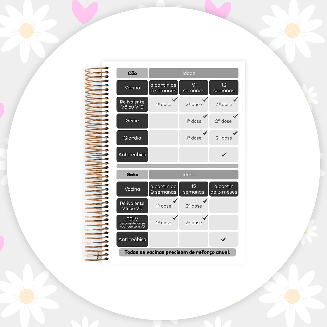 Arquivo Caderneta Pet  9