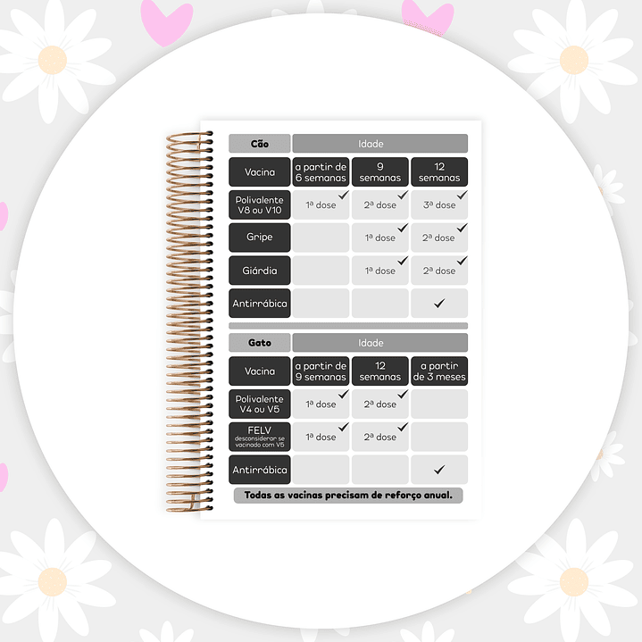 Arquivo Caderneta Pet  9