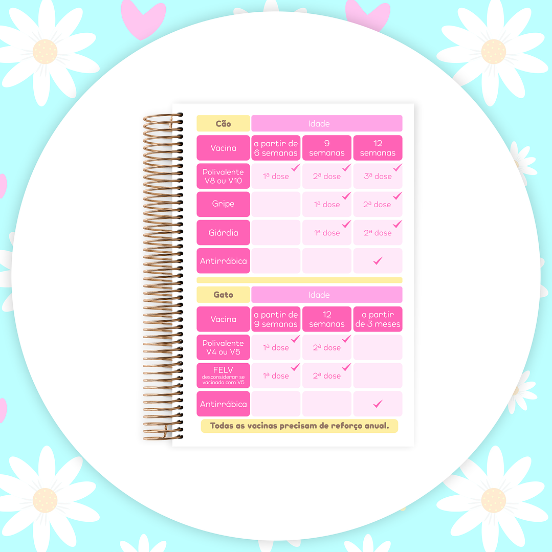 Arquivo Caderneta Pet  22