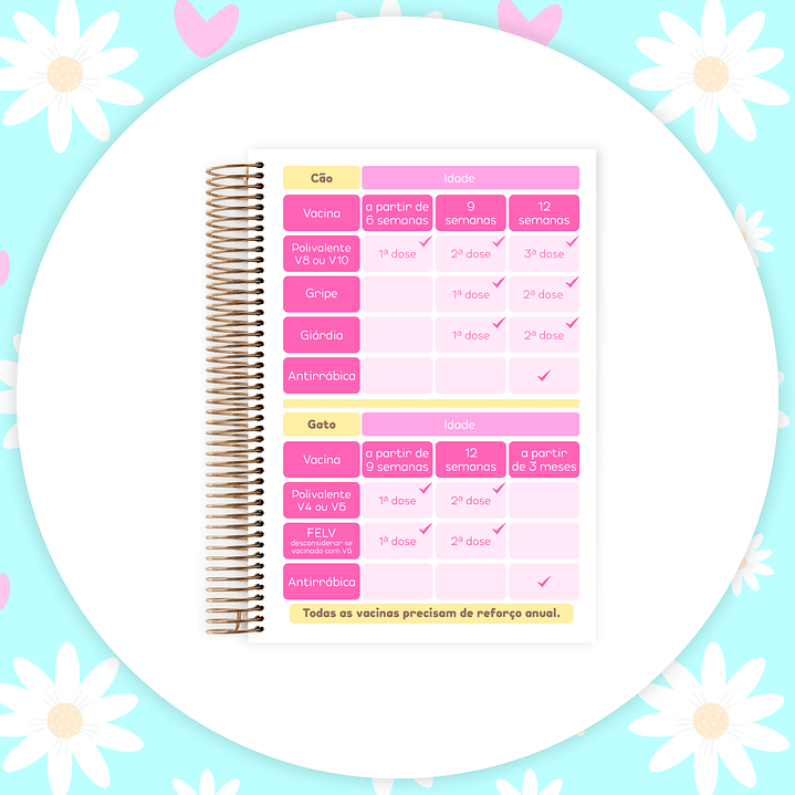 Arquivo Caderneta Pet  22