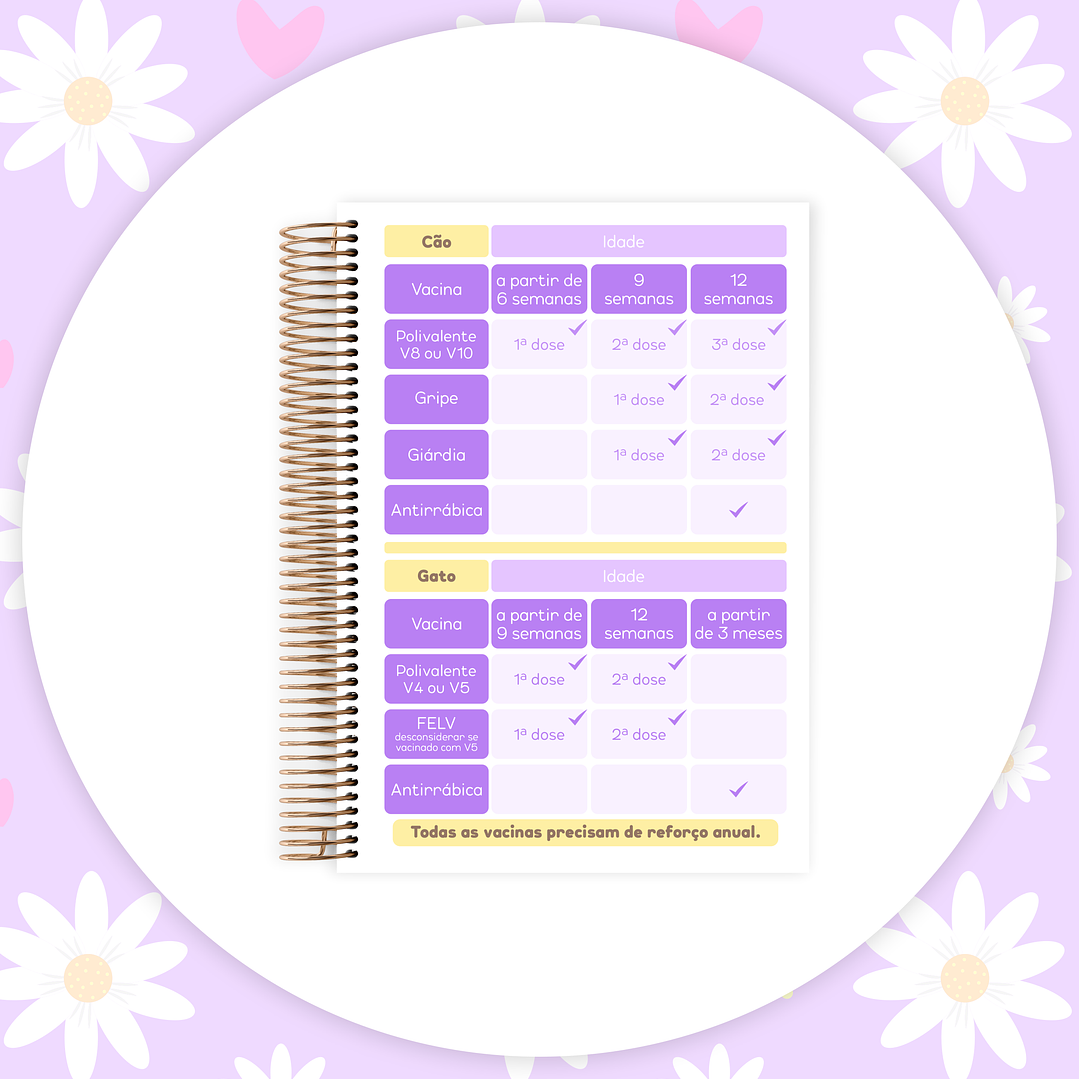 Arquivo Caderneta Pet  24