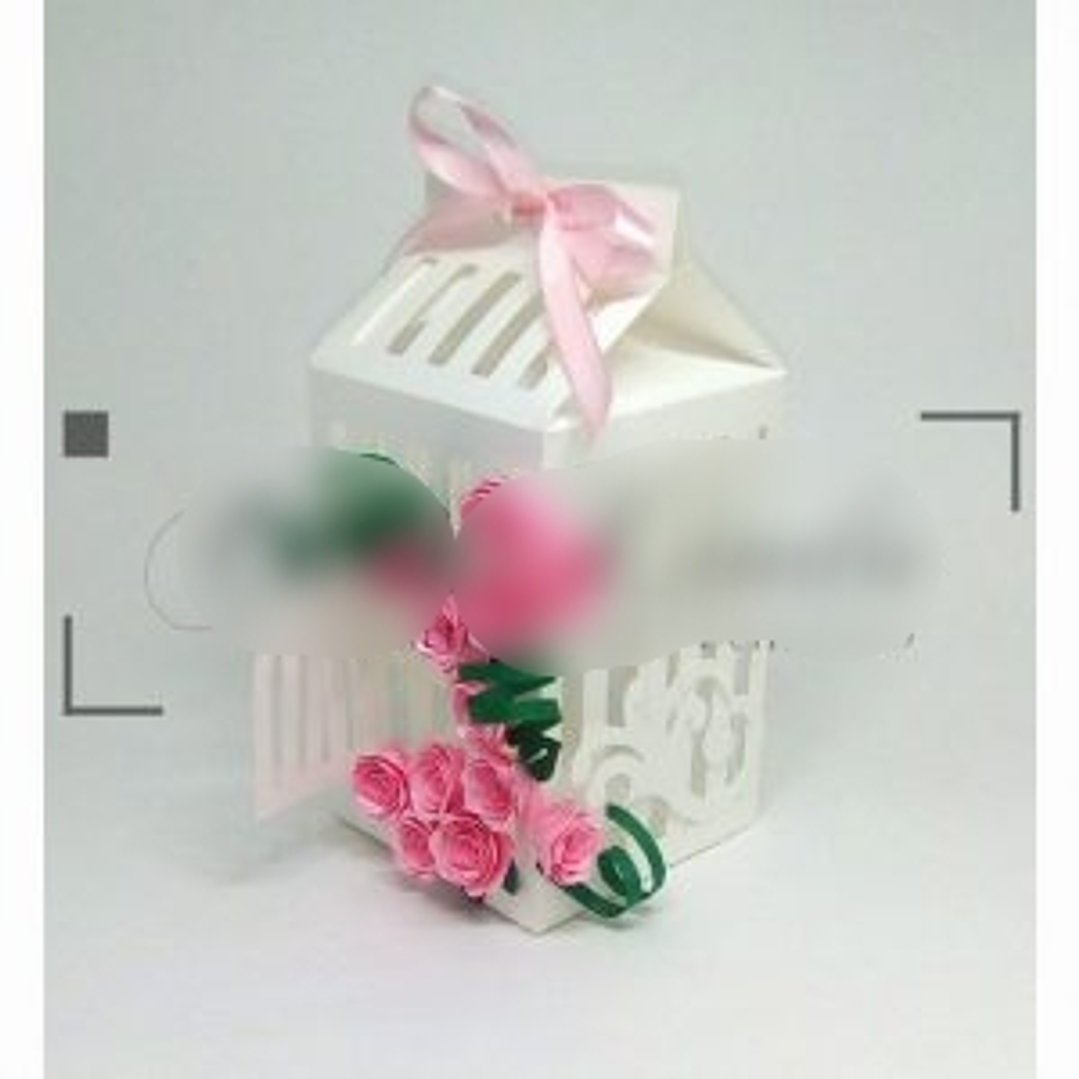 Arquivo de Corte Caixa Milk Gaiolinha  1