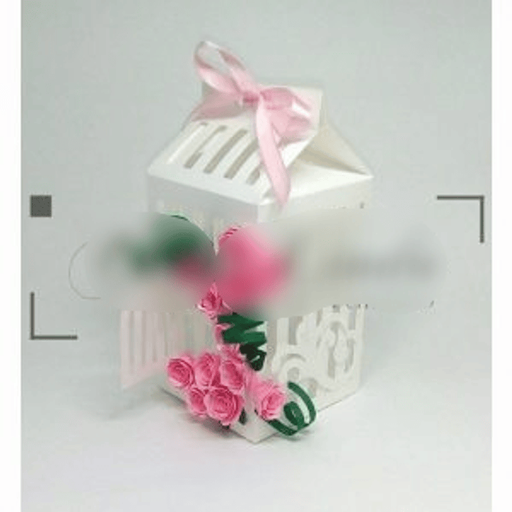 Arquivo de Corte Caixa Milk Gaiolinha  1