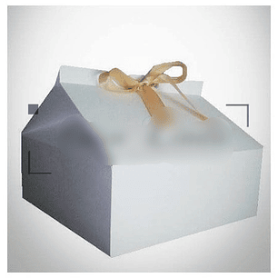 Arquivo de corte Caixa Milk Gigante 25x25 x10 