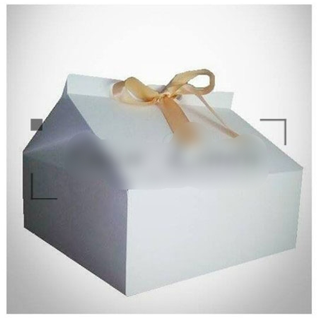 Arquivo de corte Caixa Milk Gigante 25x25 x10  1