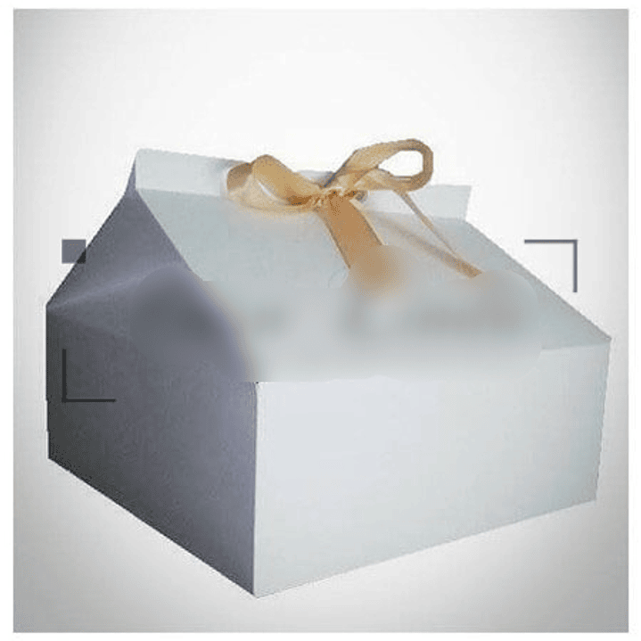 Arquivo de corte Caixa Milk Gigante 25x25 x10  1