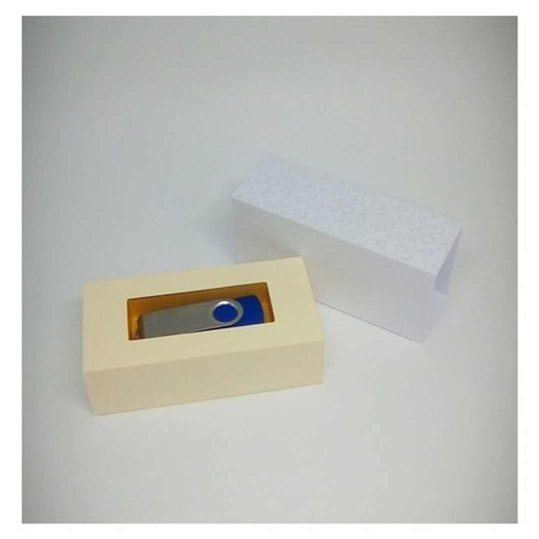 Arquivo de Corte Caixa para 1 Pendrive 1