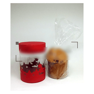 Aquivo de Corte Caixa para Mini Panetone 100g