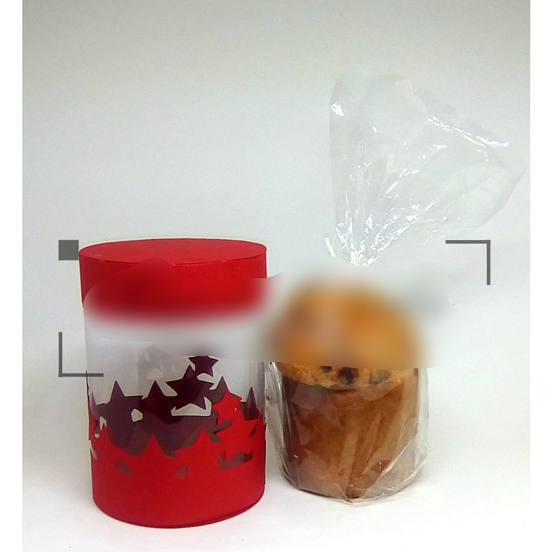 Aquivo de Corte Caixa para Mini Panetone 100g 1