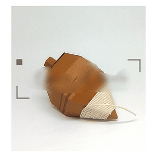 Arquivo de Corte Caixa Pião