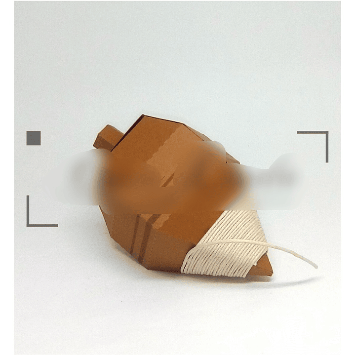 Arquivo de Corte Caixa Pião 1