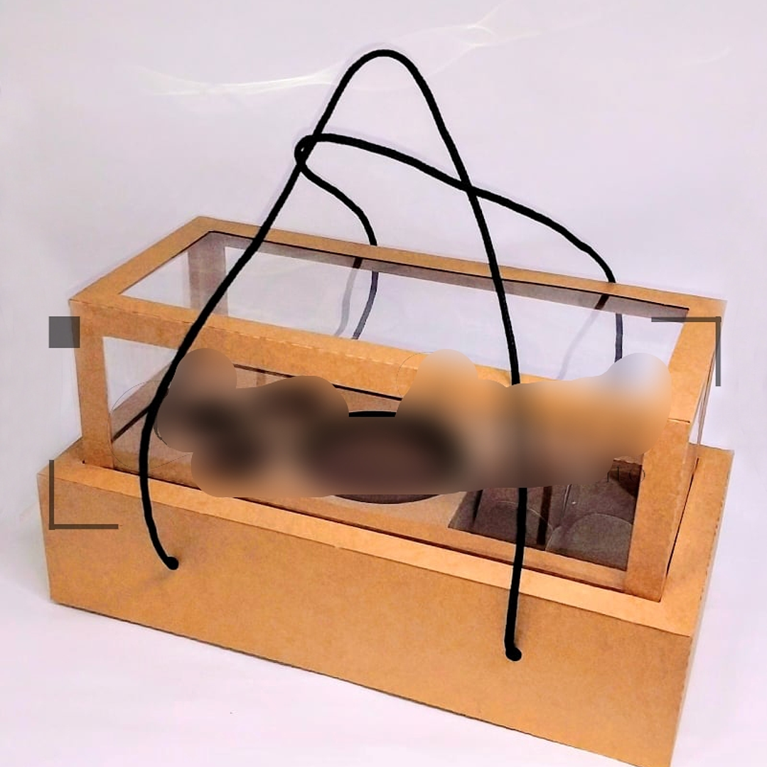 Arquivo de Corte Caixa para Lata Petiscos  1