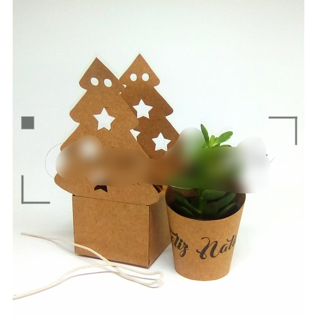 Arquivo de Corte Embalagem Natalina para Suculenta  1