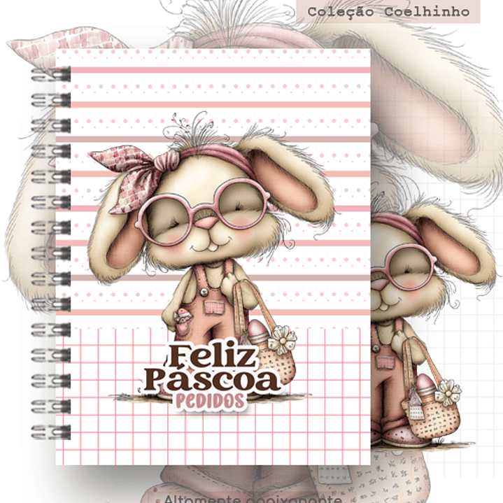 Arquivo Coleção Páscoa Capas Coelhinho 3