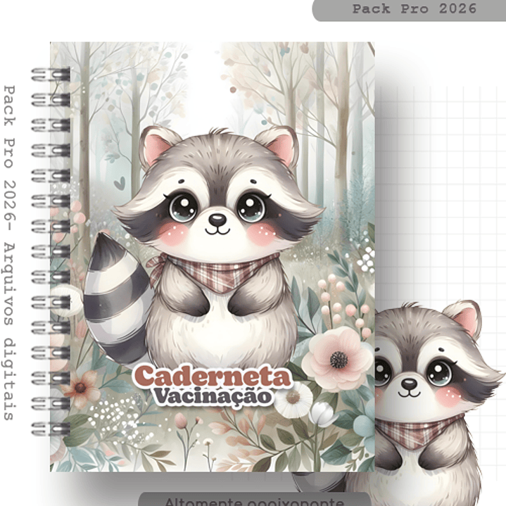 Arquivo Capa Guaxinim 1